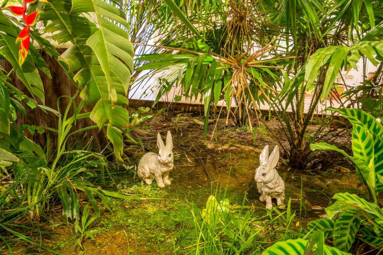 Casa Holiday Resorts Araku Buitenkant foto